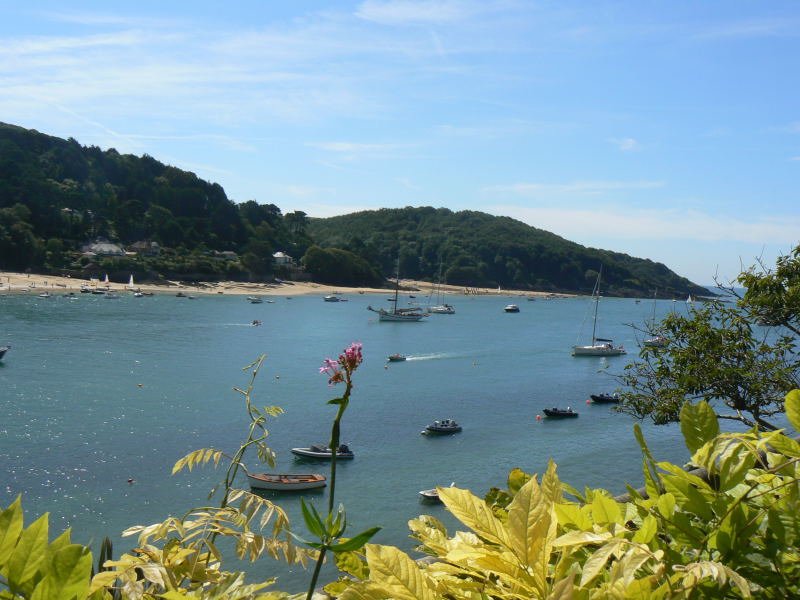 mouillagesalcombe.jpg